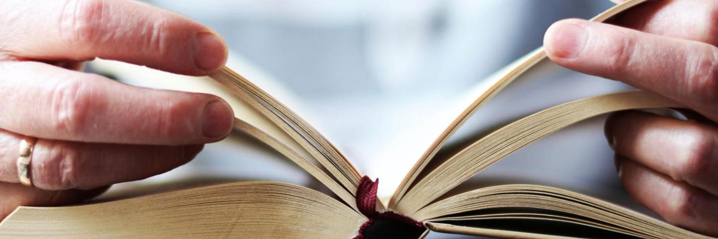Bildung
